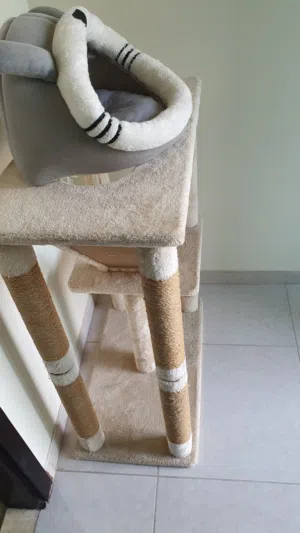 Cat Scratcher