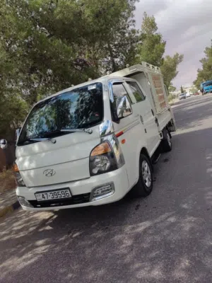 بكب بورتر مميز