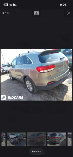 New Kia Sorento in Tripoli