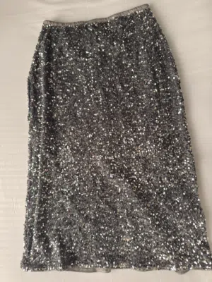 Sequin Skirt
