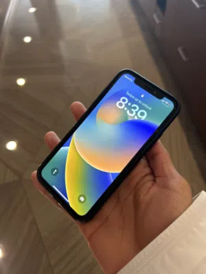iPhone X 256GB
