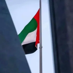 بو زايد 