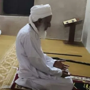 الوليد 