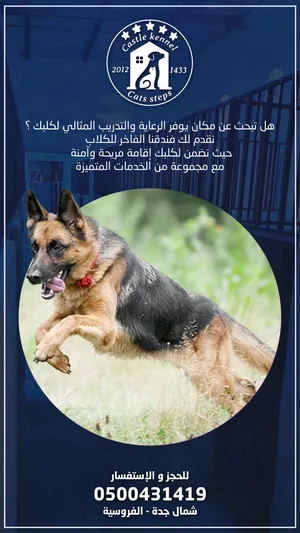 ‏ترويض وتدريب ‏.‏ تدريب كلاب‏0