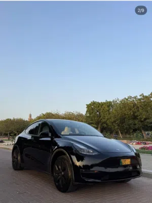 Used Tesla Model Y in Muscat