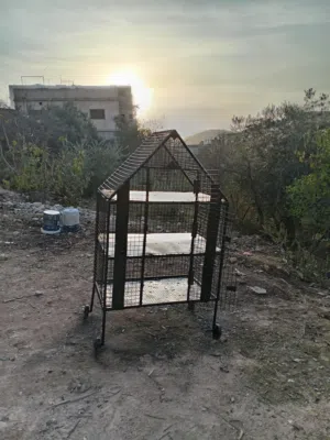 قفص حديد تفصيل جديد 3 طوابق كل طابق عرض 100 ارتفاع 50 غمق 60 اله عجال لسهوله التنقل عجلون عين جنا