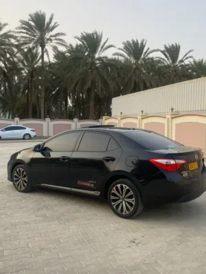 موت مسرفس بكامل