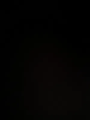 كلب زينه لولو انثى سعر 85وبي مجال