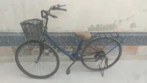 دراجة بسكليت اوروبي