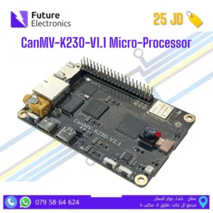 CanMV-K230-V1.1 Micro-Processor