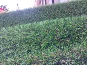 عروضات على العشب الصناعي والموكيت والسجاد