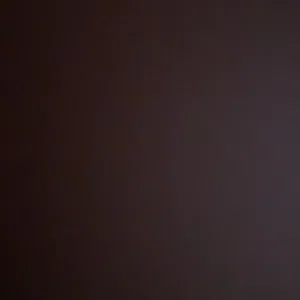 محمد القيسي