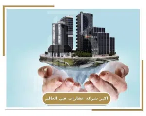 مطلوب شريك ممول لمشروع شركة وساطة عقاريه وتجارية بمصر
