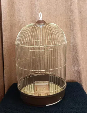 قفص طيور قياس 33 × 41 سم تصميم أنيق وواسع وعلبة حبوب وارضية بلاستيك قوي تسحب لرمي مخلفات الطيور