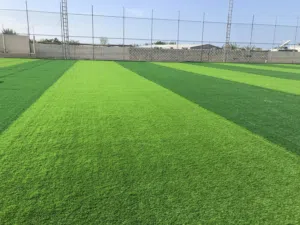 ترتان ملاعب ذو العشبة الطويلة