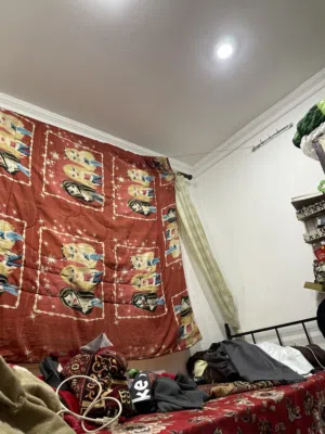 مطلوب  مشاركة سكن  إنسان على خلق