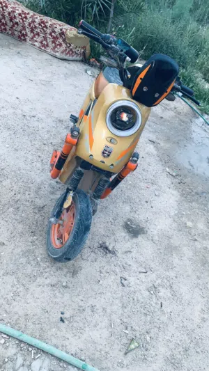 دراجة شحن R9 للبيع