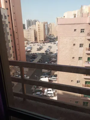 مطلوب مصري مشاركة سكن بالسالمية