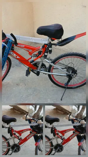 بسكليت 24 السعر 55