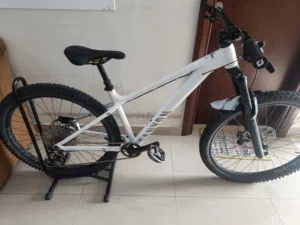 mountain bike
