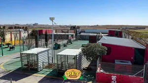 ‏ترويض وتدريب ‏.‏ تدريب كلاب‏0