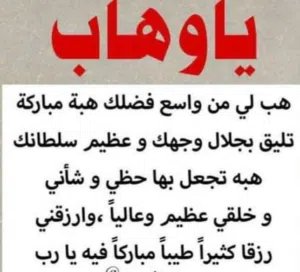 مطلوب شقه مفروشه للايجار مدينه نصر لاسره