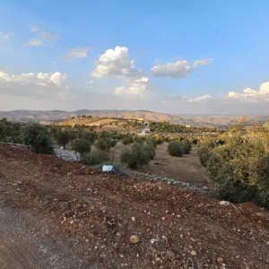 Farm Land for Sale in Zarqa Birayn