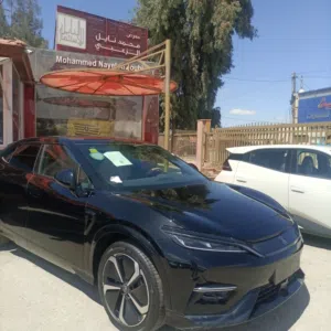 معرض محمد نايل الزعبي 
