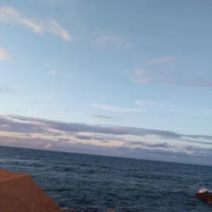 محمد 