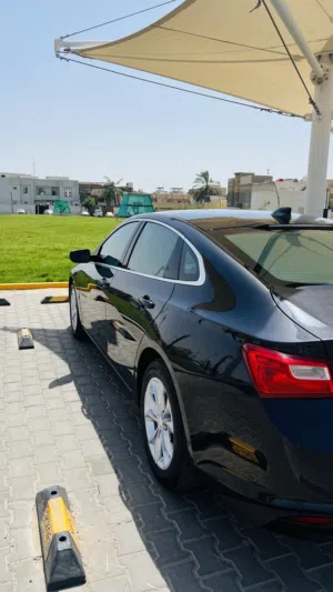 ماليبو 2023 رقم بصره باسمي