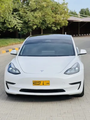 Used Tesla Model 3 in Buraimi