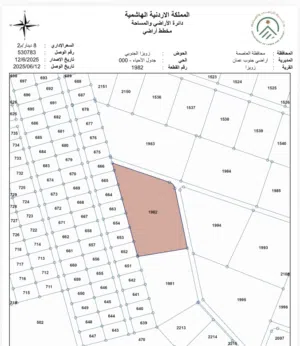 ارض للبيع اراضي جنوب عمان في زويزا الجنوبي 13 دونم منطقة مزارع و شاليهات قوشان مستقل