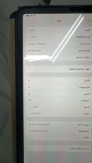 Apple iPad Pro 256 GB in Muscat