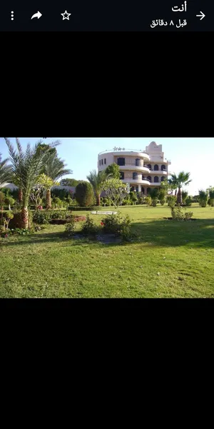 1500 m2 More than 6 bedrooms Villa for Sale in Aswan Nasr al-Noba