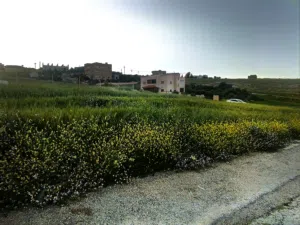 Mixed Use Land for Sale in Al Karak Other