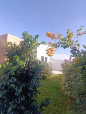استراحة طريق الباعيش الحبايبية