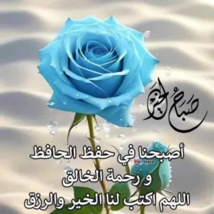 سجاد 