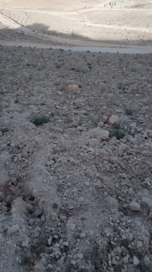 Residential Land for Sale in Zarqa Wadi Al Aash