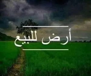 حوازا ف بن شعيب ع قطران طول ربي يبارك من مالك طول