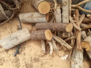 6 شكاير بياض زيتون حاجة صح الصح وحطب بورديم كمية ممتازة