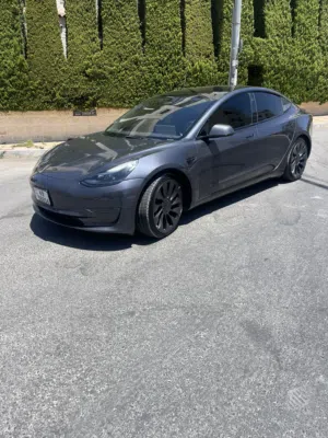 Tesla Model 3 performance 2022