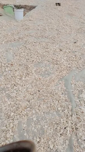 خبز ناشف واخضر للبيع