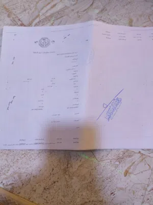 رقم معوقين للبيع قبل اسبوع استلمو