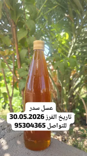 عسل السدر العماني 2026