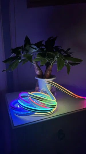 شريط neon LED وكابلات للكرت والمعالج