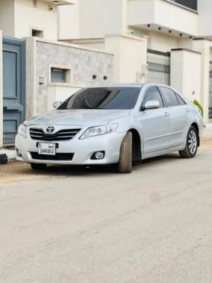 الحمادي 