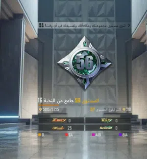 حساب ببجي للبيع بسعر 80 دينار