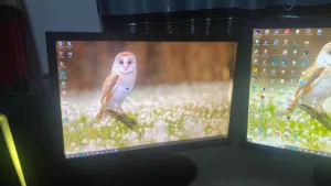 Windows Asus Computers for sale in Aqaba