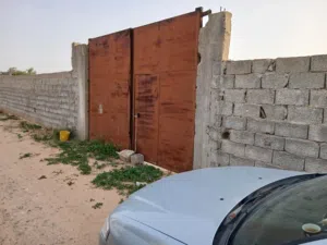 راض في موسه كوسه 2000 ألفين ميترو