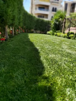 ‏أشجار - نباتات‏1
